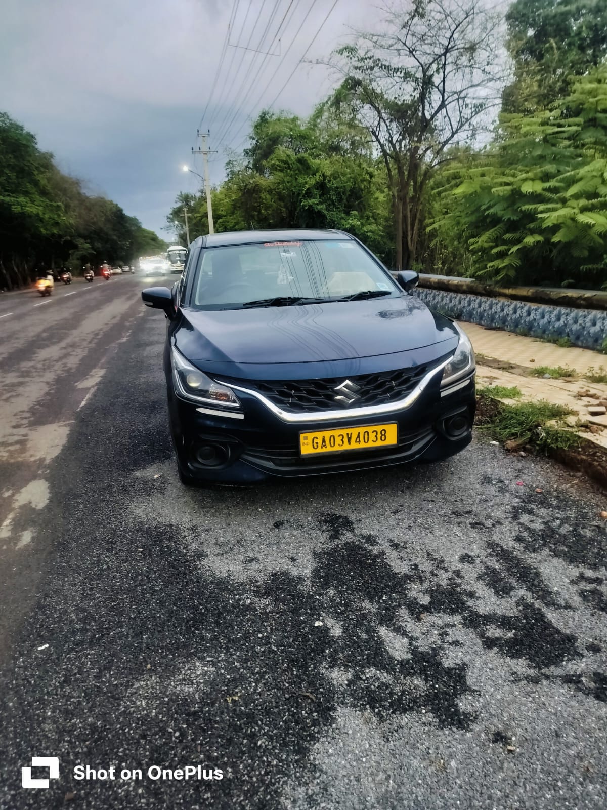 Goa Sightseeing